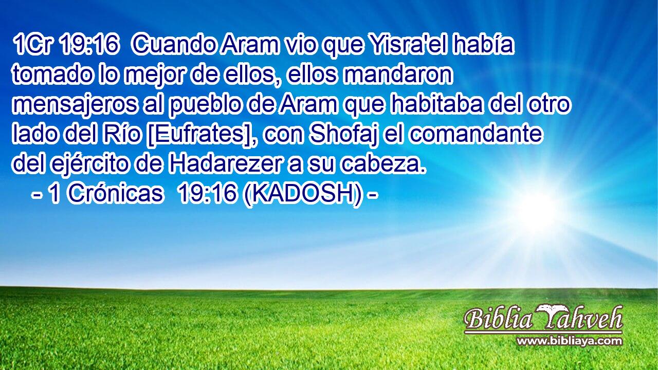  Cuando Aram vio que Yisra'el había tomado lo mejor de ellos, ellos mandaron mensajeros al pueblo de Aram que habitaba del otro lado del Río [Eufrates], con Shofaj el comandante del ejército de Hadarezer a su cabeza. 