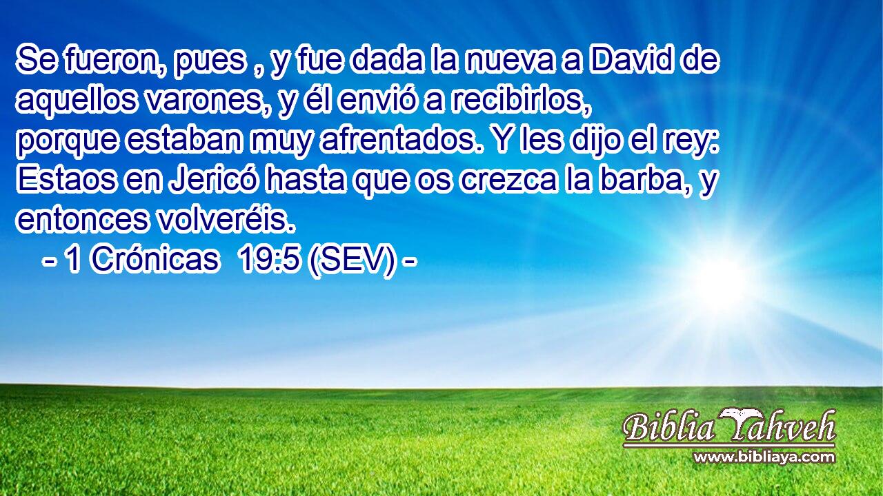 Se fueron, pues , y fue dada la nueva a David de aquellos varones, y él envió a recibirlos, porque estaban muy afrentados. Y les dijo el rey: Estaos en Jericó hasta que os crezca la barba, y entonces volveréis.
