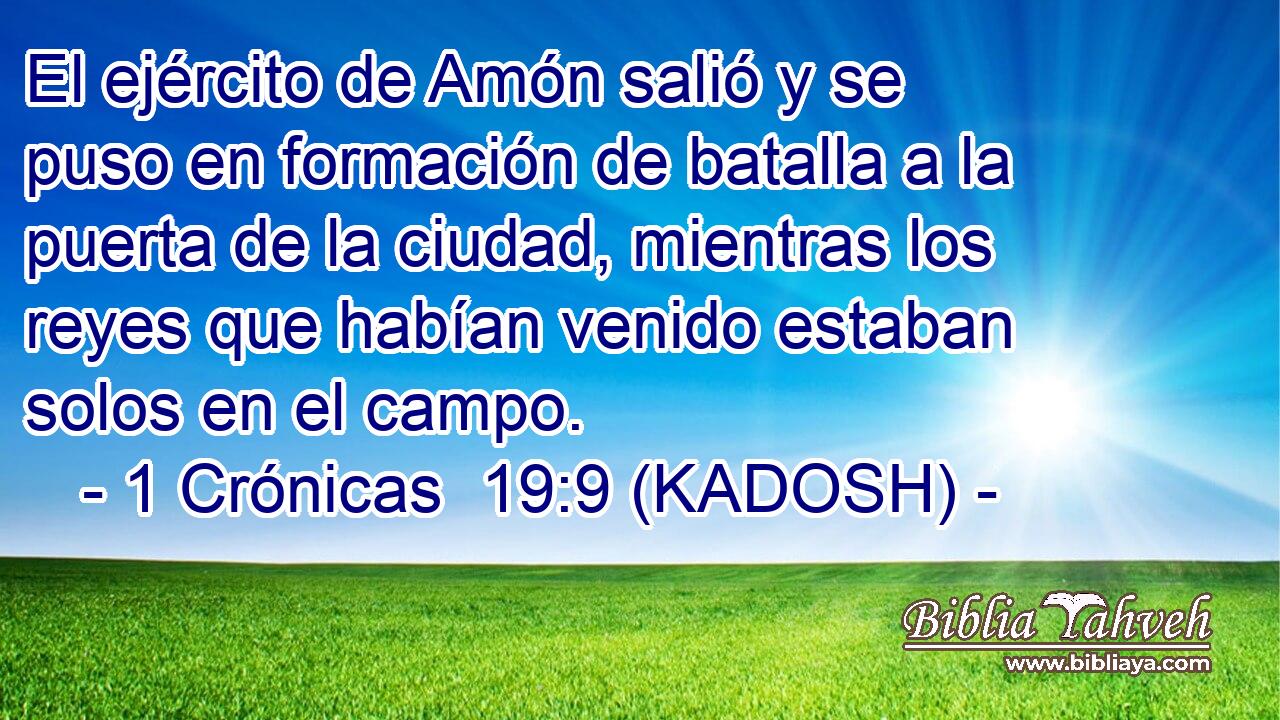  El ejército de Amón salió y se puso en formación de batalla a la puerta de la ciudad, mientras los reyes que habían venido estaban solos en el campo. 