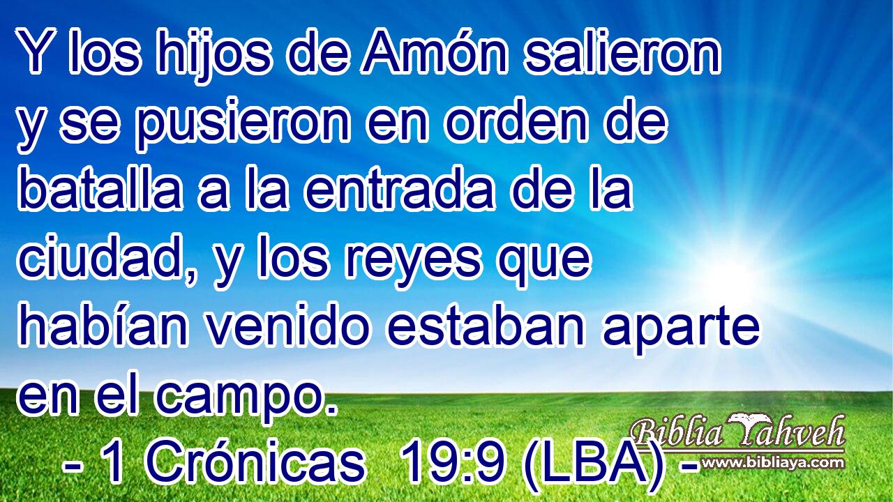 Y los hijos de Amón salieron y se pusieron en orden de batalla a la entrada de la ciudad, y los reyes que habían venido estaban aparte en el campo.