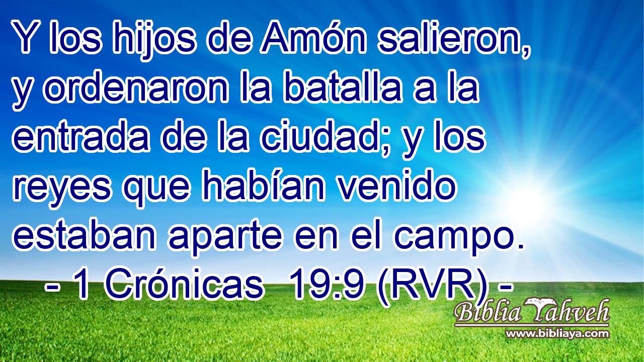 Y los hijos de Amón salieron, y ordenaron la batalla a la entrada de la ciudad; y los reyes que habían venido estaban aparte en el campo.