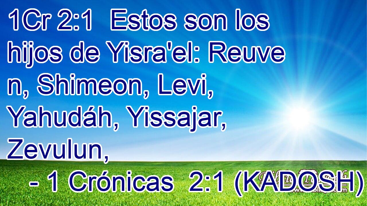  Estos son los hijos de Yisra'el: Reuve n, Shimeon, Levi, Yahudáh, Yissajar, Zevulun, 