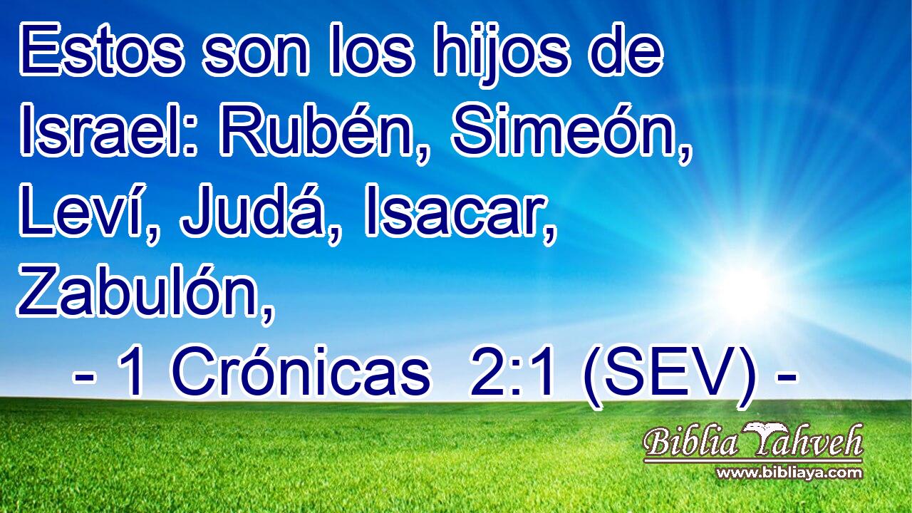 Estos son los hijos de Israel: Rubén, Simeón, Leví, Judá, Isacar, Zabulón,