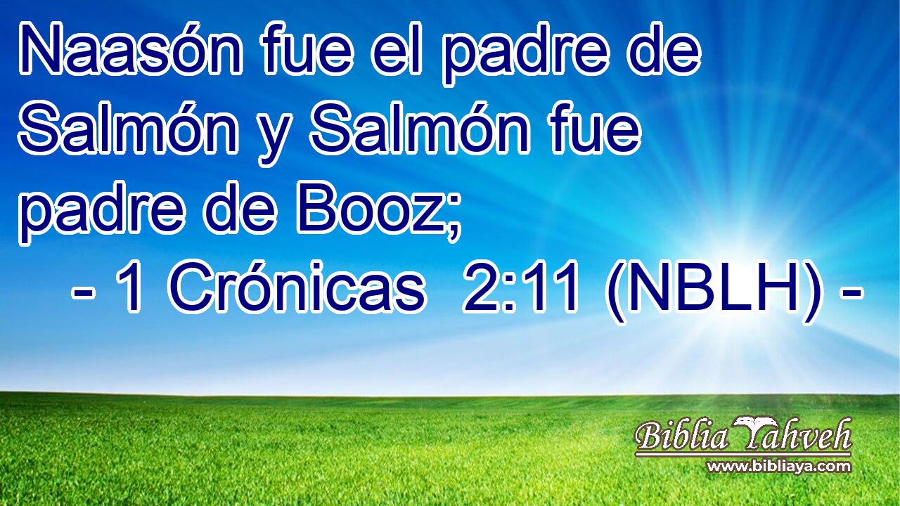  Naasón fue el padre de Salmón y Salmón fue padre de Booz; 