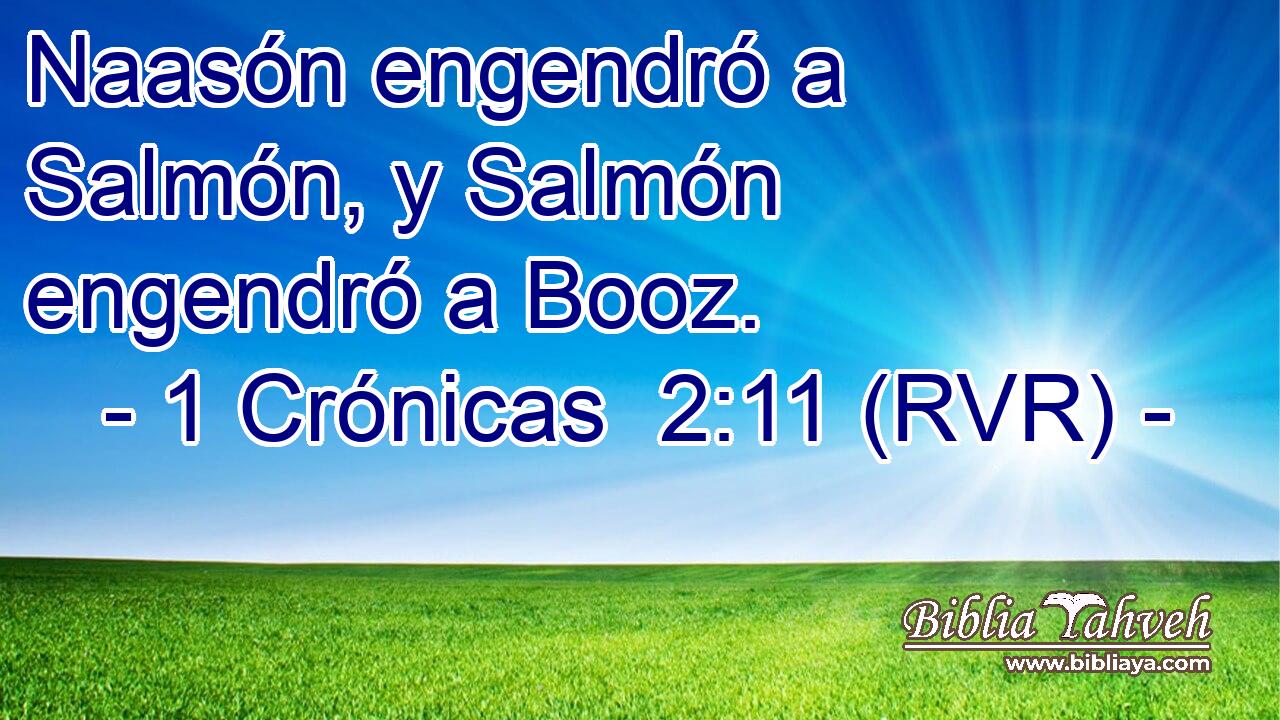 Naasón engendró a Salmón, y Salmón engendró a Booz.