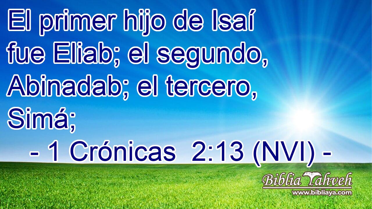  El primer hijo de Isaí fue Eliab; el segundo, Abinadab; el tercero, Simá; 