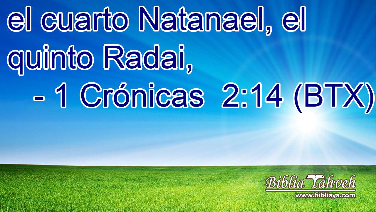 el cuarto Natanael, el quinto Radai,