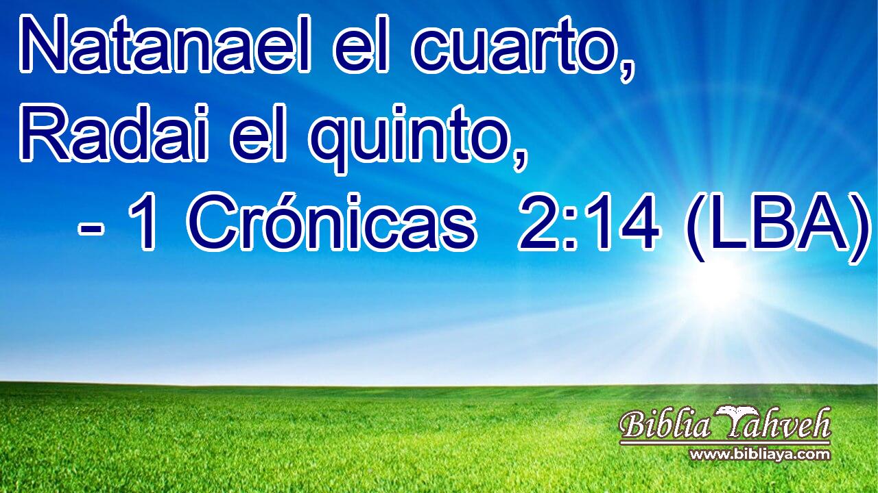 Natanael el cuarto, Radai el quinto,
