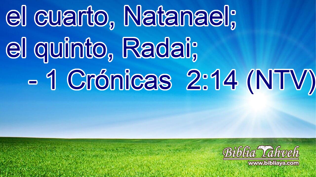el cuarto, Natanael; el quinto, Radai;