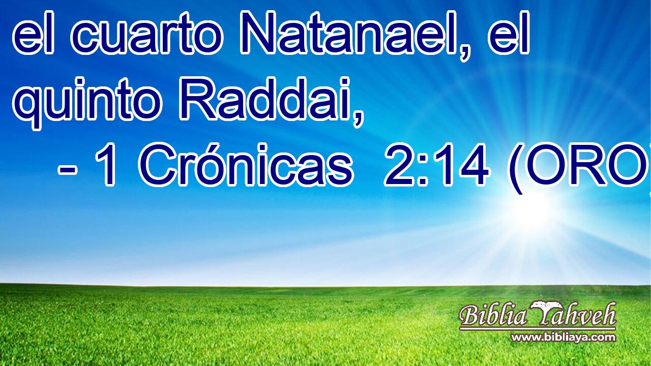  el cuarto Natanael, el quinto Raddai, 
