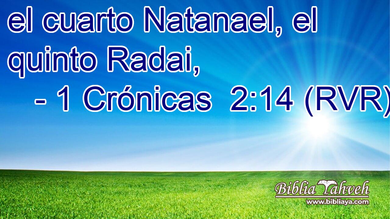 el cuarto Natanael, el quinto Radai,