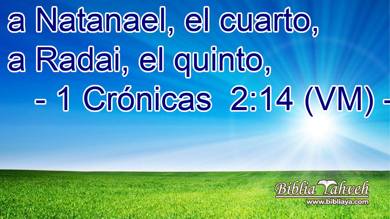  a Natanael, el cuarto, a Radai, el quinto, 