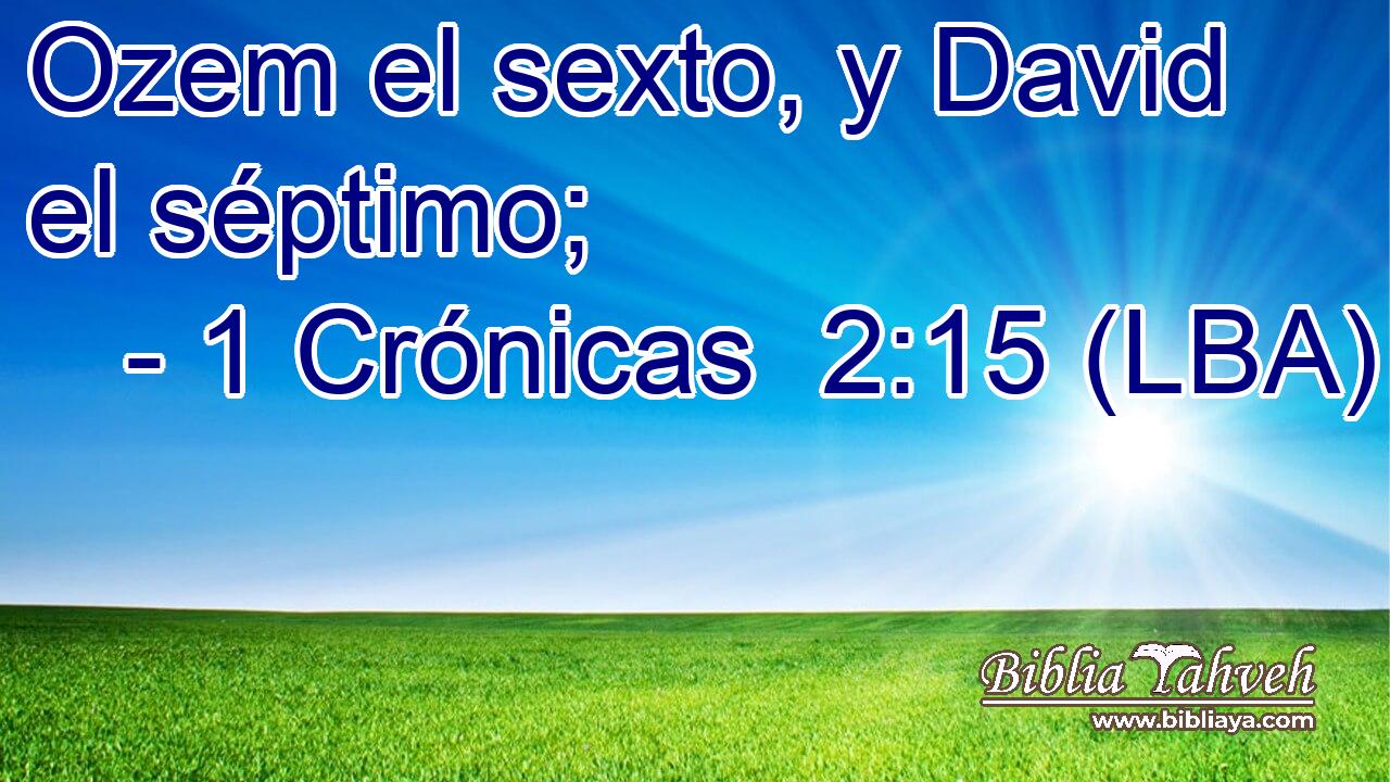 Ozem el sexto, y David el séptimo;