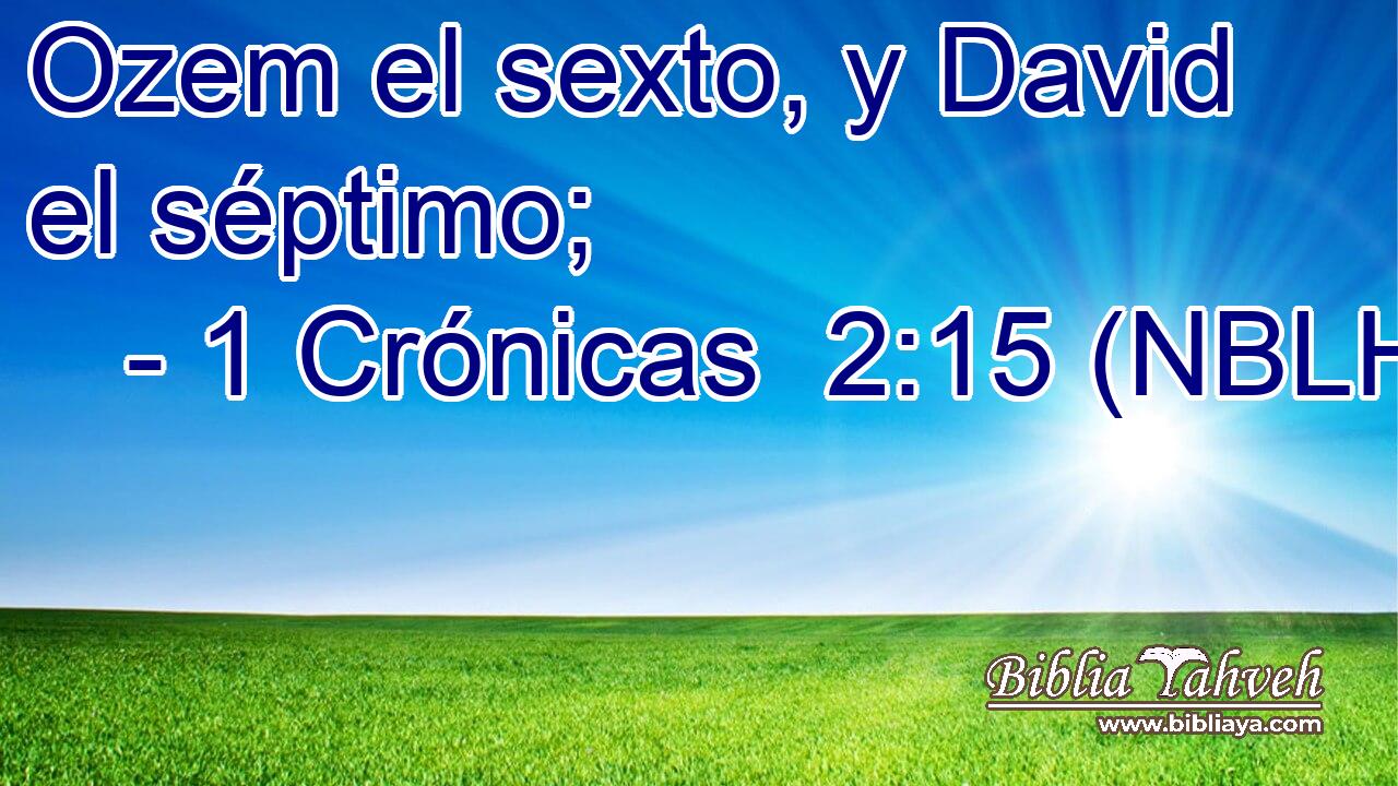  Ozem el sexto, y David el séptimo; 