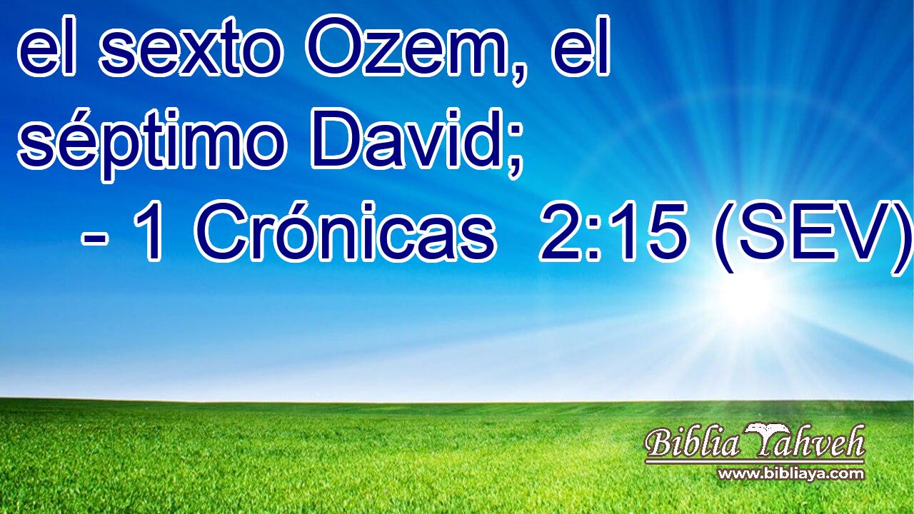 el sexto Ozem, el séptimo David;