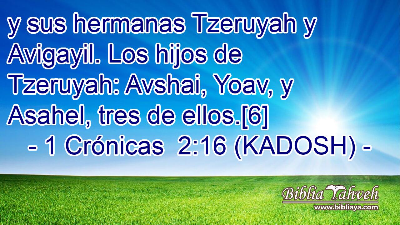  y sus hermanas Tzeruyah y Avigayil. Los hijos de Tzeruyah: Avshai, Yoav, y Asahel, tres de ellos.[6] 