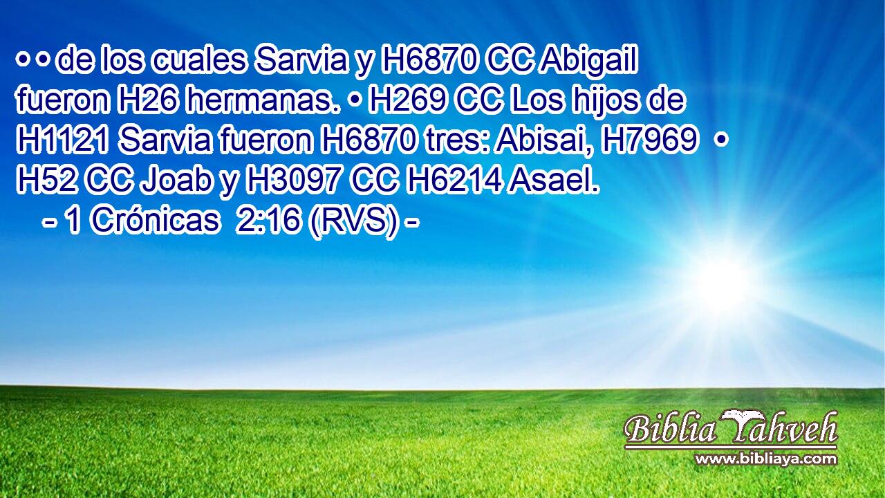 • • de los cuales Sarvia y H6870 CC Abigail fueron H26 hermanas. • H269 CC Los hijos de H1121 Sarvia fueron H6870 tres: Abisai, H7969  • H52 CC Joab y H3097 CC H6214 Asael. 