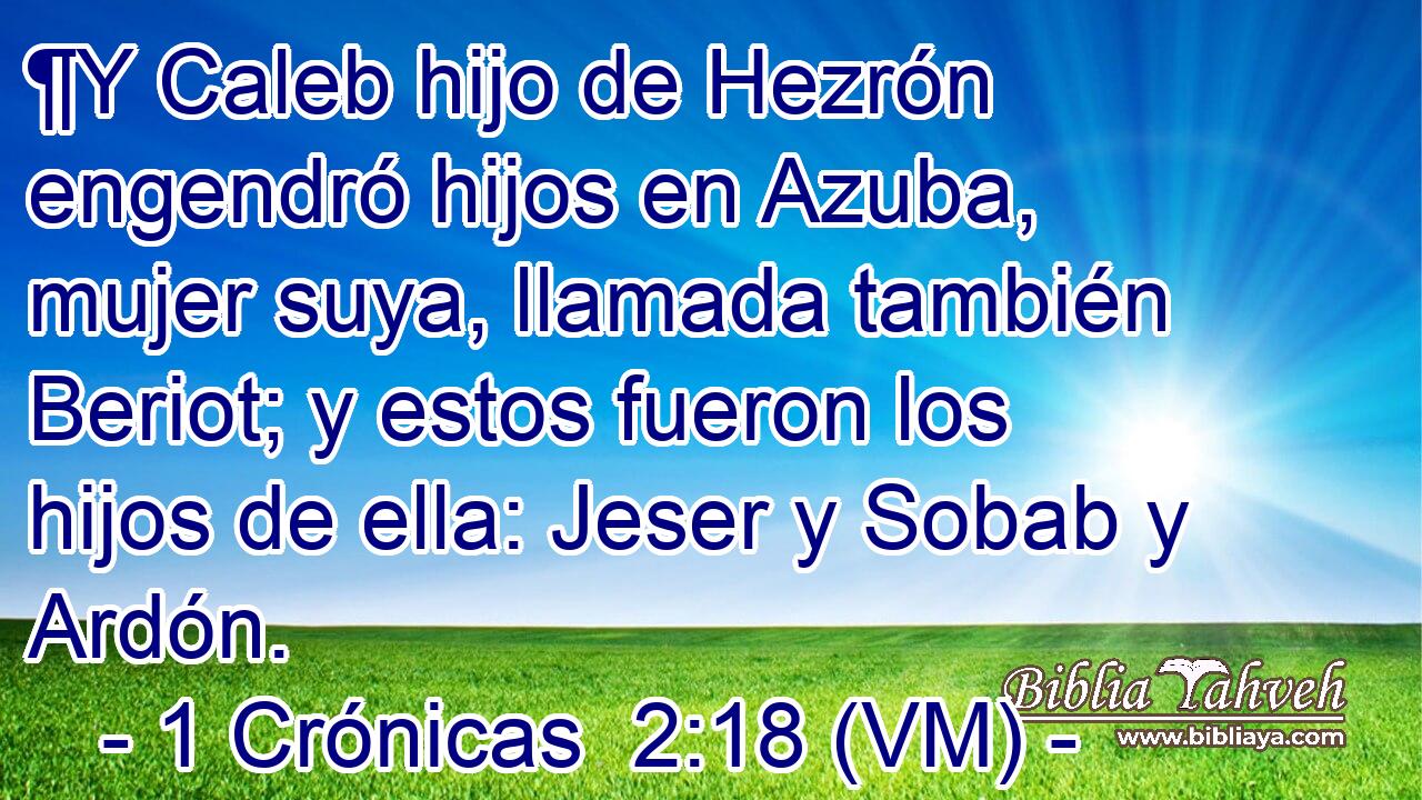  ¶Y Caleb hijo de Hezrón engendró hijos en Azuba, mujer suya, llamada también Beriot; y estos fueron los hijos de ella: Jeser y Sobab y Ardón. 