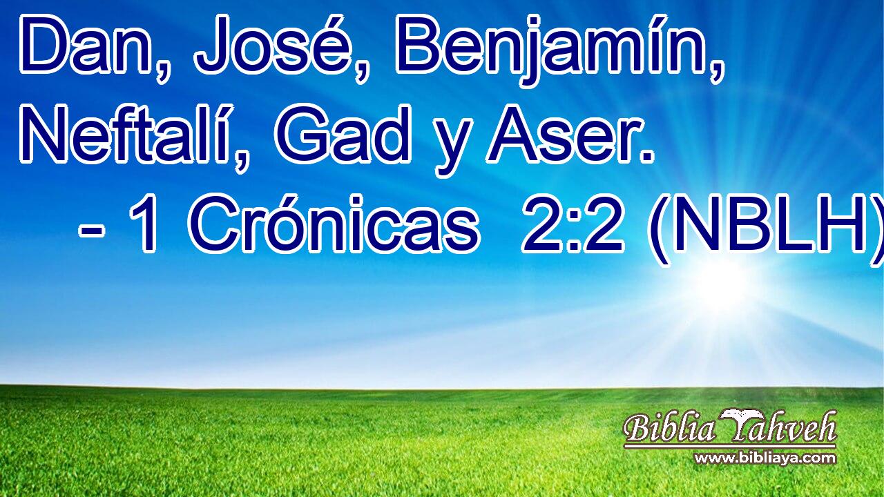  Dan, José, Benjamín, Neftalí, Gad y Aser. 