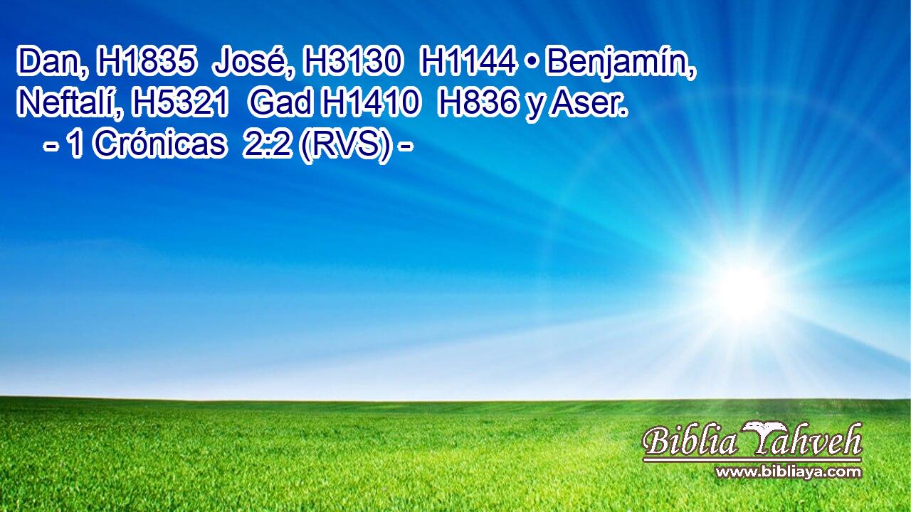 Dan, H1835  José, H3130  H1144 • Benjamín, Neftalí, H5321  Gad H1410  H836 y Aser. 