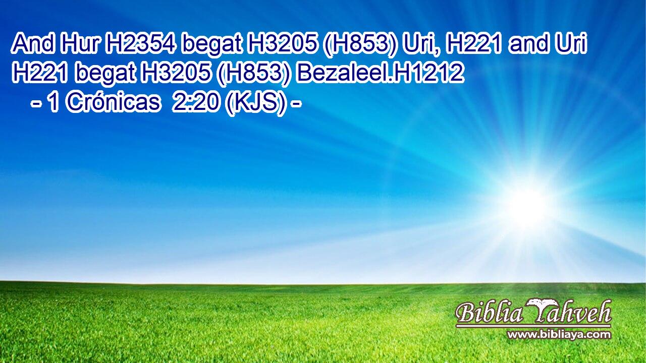 And Hur H2354 begat H3205 (H853) Uri, H221 and Uri H221 begat H3205 (H853) Bezaleel.H1212