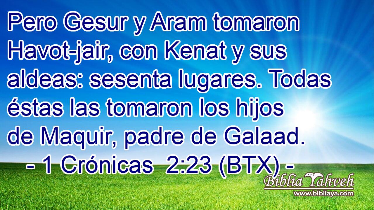 Pero Gesur y Aram tomaron Havot-jair, con Kenat y sus aldeas: sesenta lugares. Todas éstas las tomaron los hijos de Maquir, padre de Galaad.