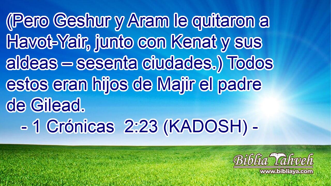  (Pero Geshur y Aram le quitaron a Havot-Yair, junto con Kenat y sus aldeas – sesenta ciudades.) Todos estos eran hijos de Majir el padre de Gilead. 