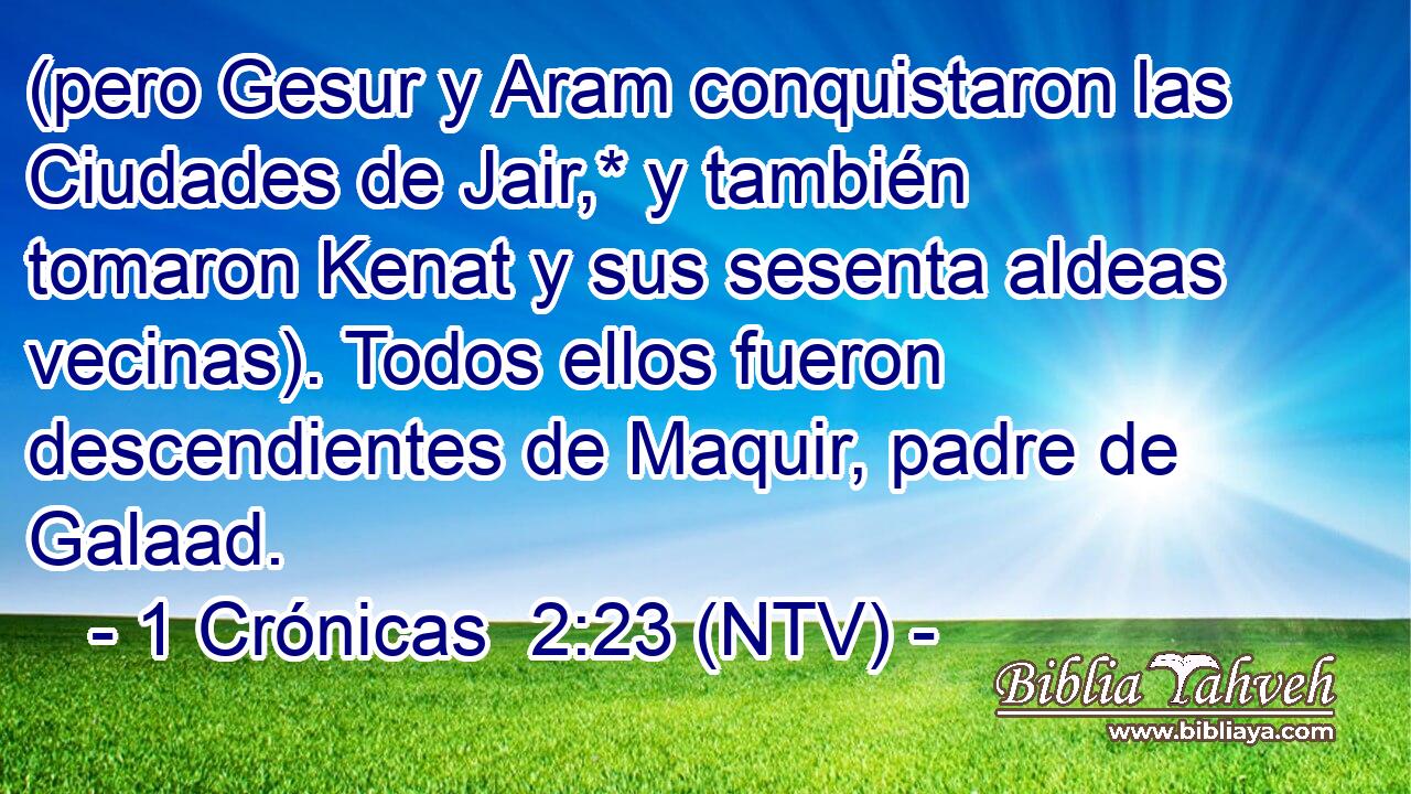 (pero Gesur y Aram conquistaron las Ciudades de Jair,* y también tomaron Kenat y sus sesenta aldeas vecinas). Todos ellos fueron descendientes de Maquir, padre de Galaad.