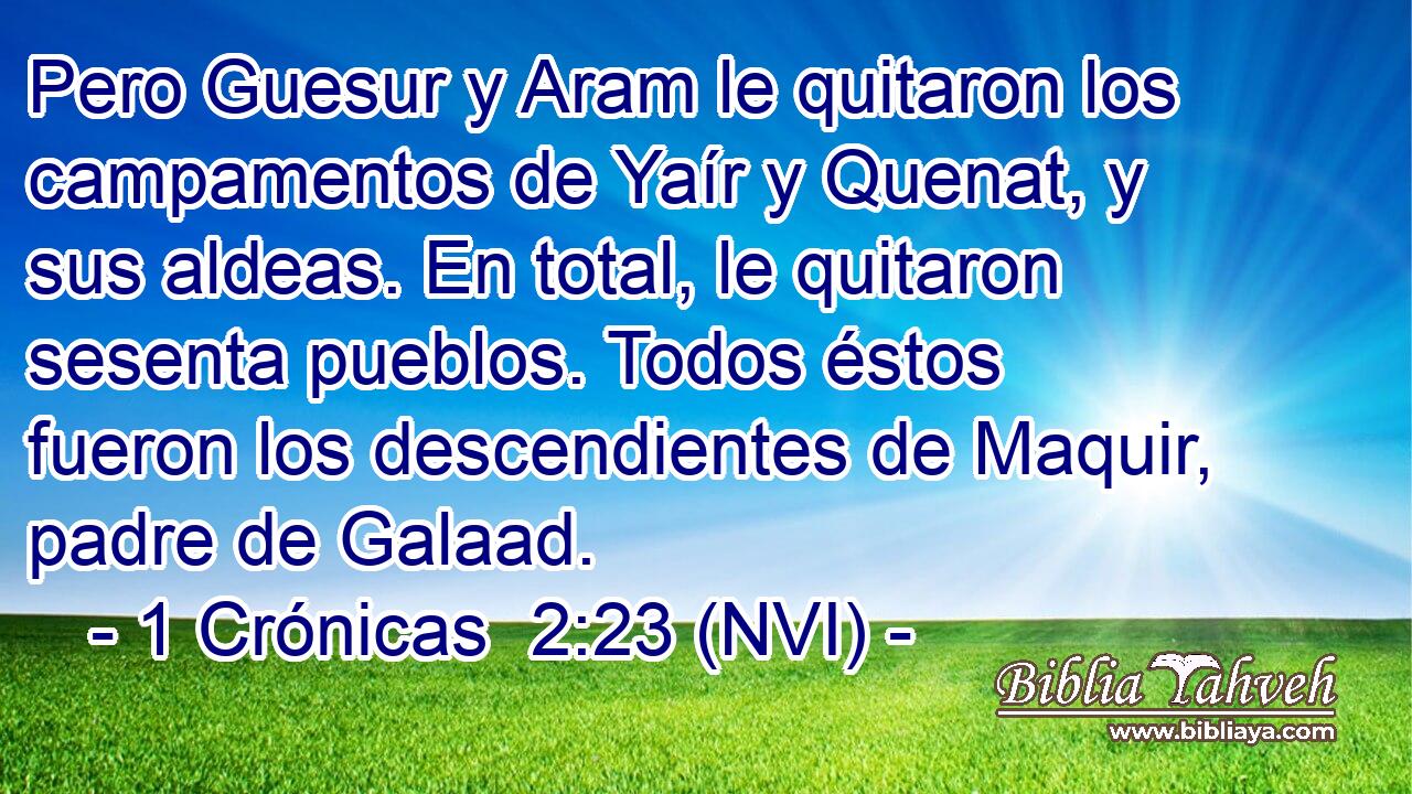  Pero Guesur y Aram le quitaron los campamentos de Yaír y Quenat, y sus aldeas. En total, le quitaron sesenta pueblos. Todos éstos fueron los descendientes de Maquir, padre de Galaad. 