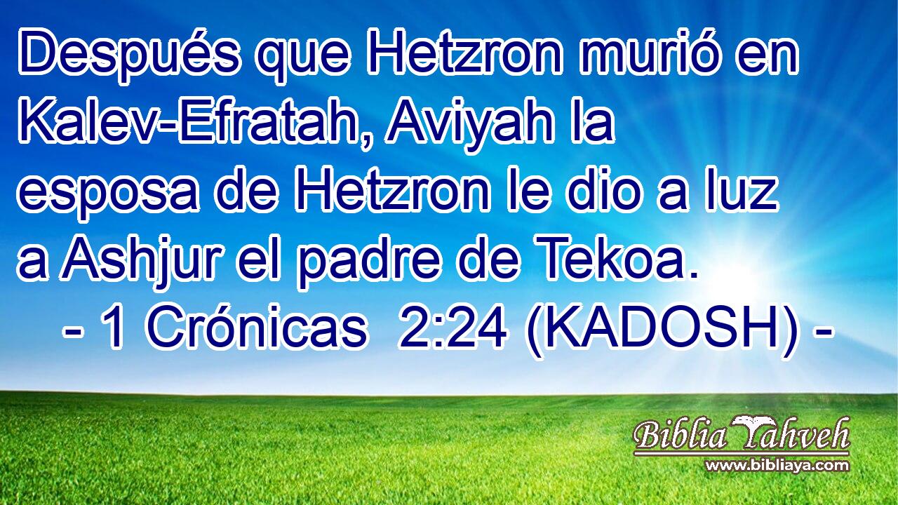  Después que Hetzron murió en Kalev-Efratah, Aviyah la esposa de Hetzron le dio a luz a Ashjur el padre de Tekoa. 