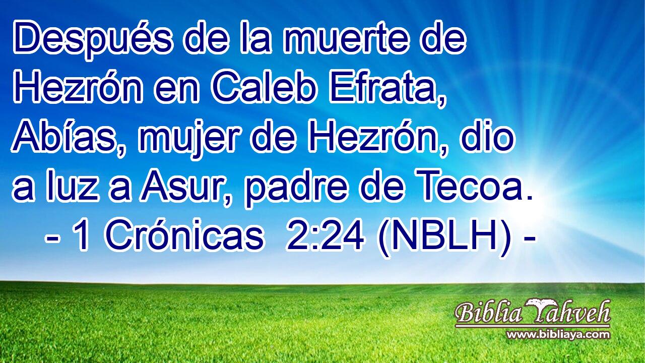  Después de la muerte de Hezrón en Caleb Efrata, Abías, mujer de Hezrón, dio a luz a Asur, padre de Tecoa. 
