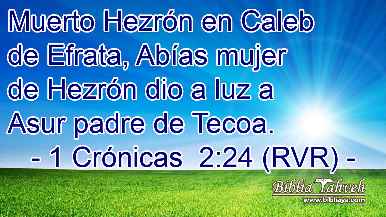 Muerto Hezrón en Caleb de Efrata, Abías mujer de Hezrón dio a luz a Asur padre de Tecoa.