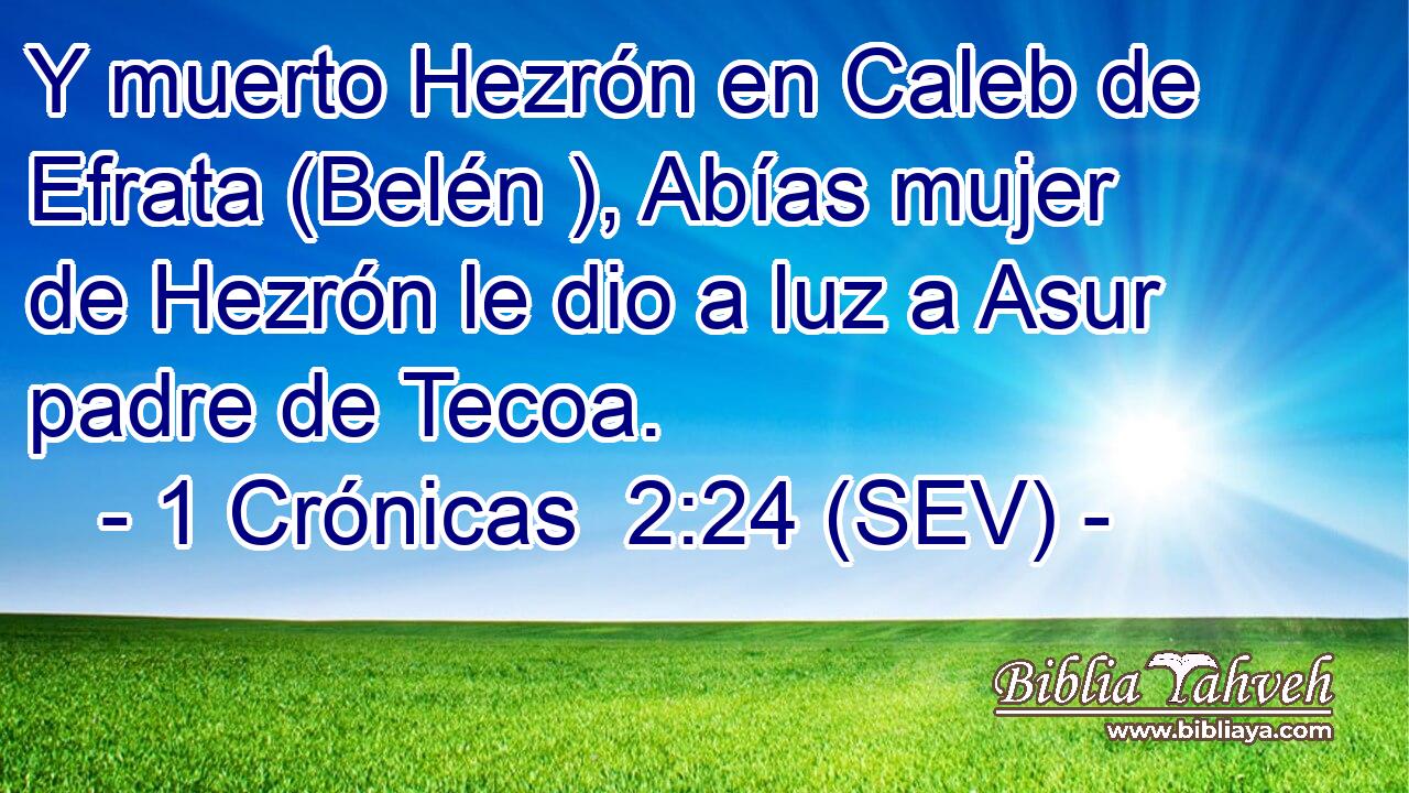 Y muerto Hezrón en Caleb de Efrata (Belén ), Abías mujer de Hezrón le dio a luz a Asur padre de Tecoa.
