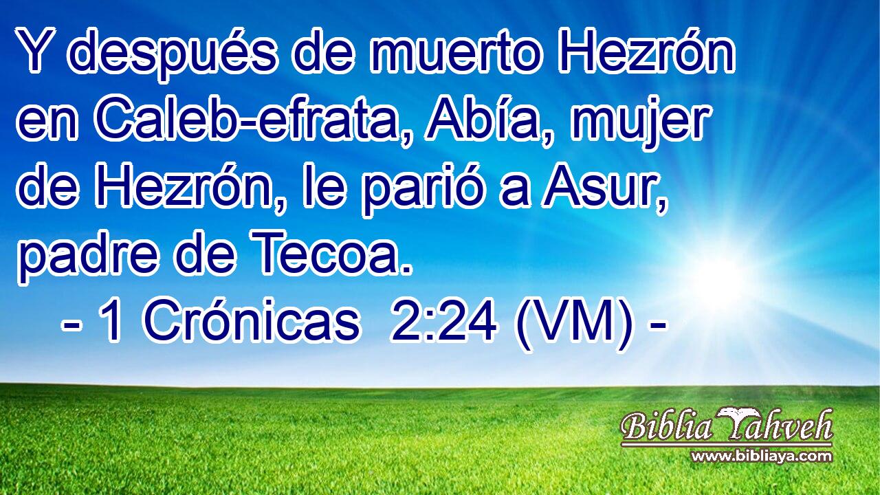  Y después de muerto Hezrón en Caleb-efrata, Abía, mujer de Hezrón, le parió a Asur, padre de Tecoa. 