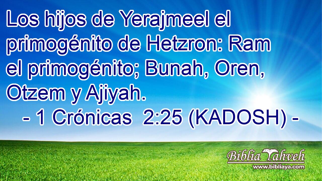  Los hijos de Yerajmeel el primogénito de Hetzron: Ram el primogénito; Bunah, Oren, Otzem y Ajiyah. 