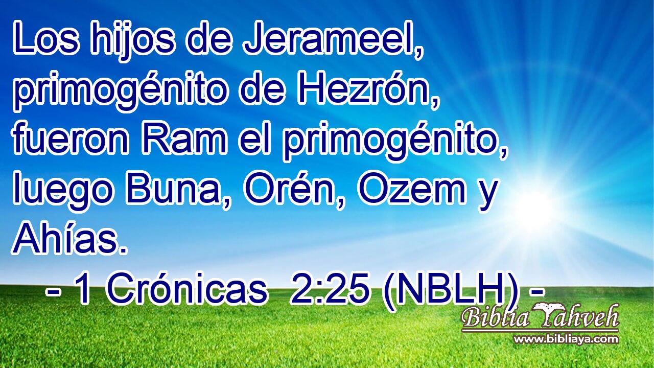  Los hijos de Jerameel, primogénito de Hezrón, fueron Ram el primogénito, luego Buna, Orén, Ozem y Ahías. 