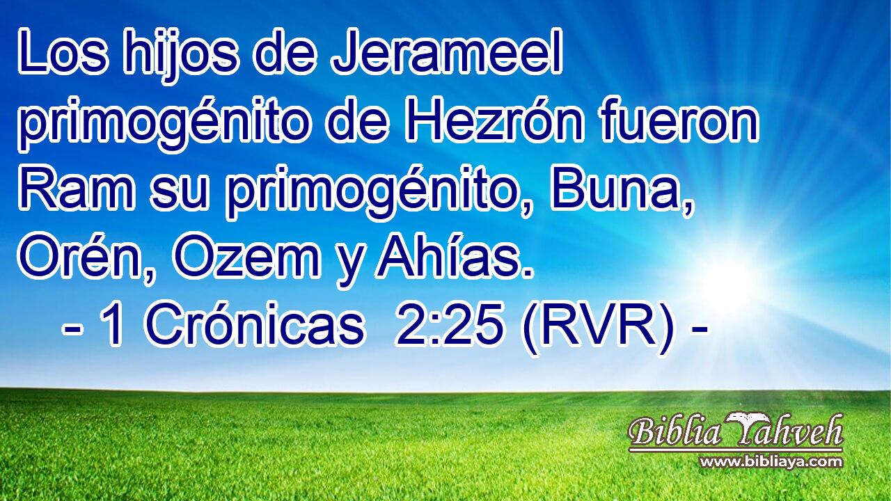 Los hijos de Jerameel primogénito de Hezrón fueron Ram su primogénito, Buna, Orén, Ozem y Ahías.