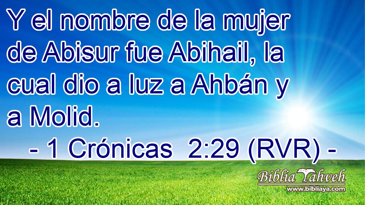 Y el nombre de la mujer de Abisur fue Abihail, la cual dio a luz a Ahbán y a Molid.