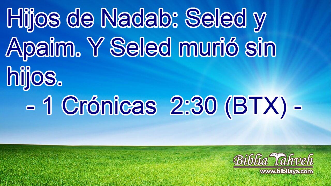 Hijos de Nadab: Seled y Apaim. Y Seled murió sin hijos.