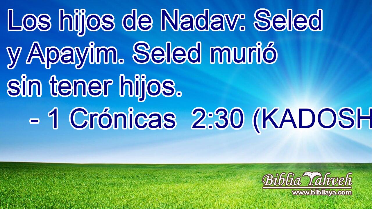  Los hijos de Nadav: Seled y Apayim. Seled murió sin tener hijos. 