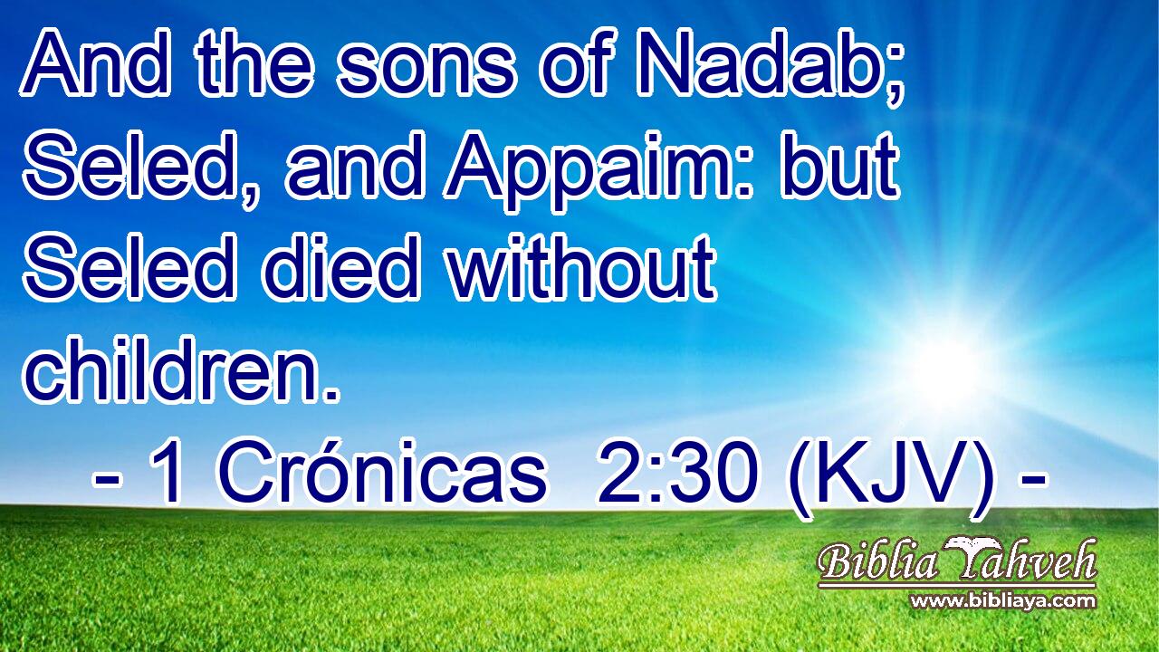 And the sons of Nadab; Seled, and Appaim: but Seled died without children.