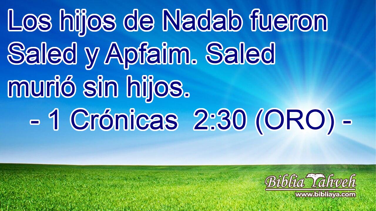  Los hijos de Nadab fueron Saled y Apfaim. Saled murió sin hijos. 
