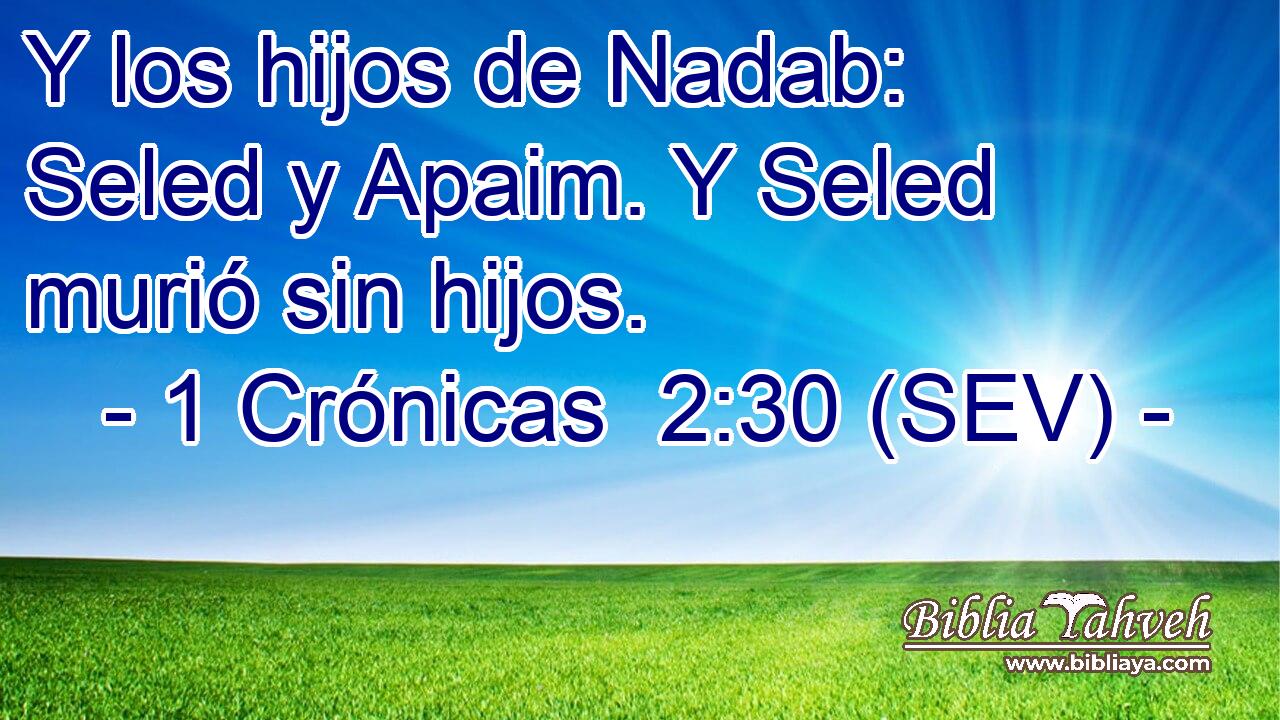 Y los hijos de Nadab: Seled y Apaim. Y Seled murió sin hijos.