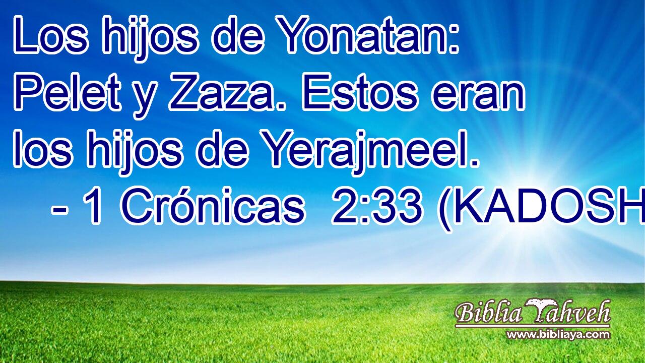  Los hijos de Yonatan: Pelet y Zaza. Estos eran los hijos de Yerajmeel. 