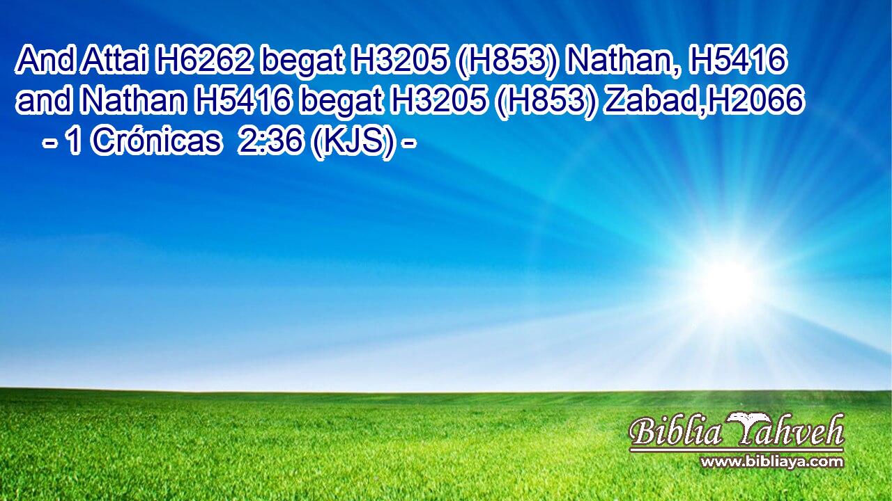 And Attai H6262 begat H3205 (H853) Nathan, H5416 and Nathan H5416 begat H3205 (H853) Zabad,H2066