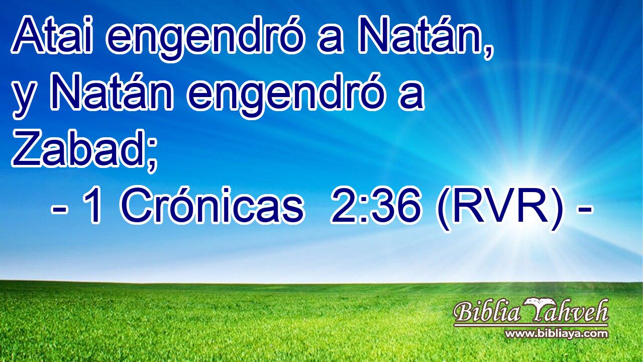 Atai engendró a Natán, y Natán engendró a Zabad;