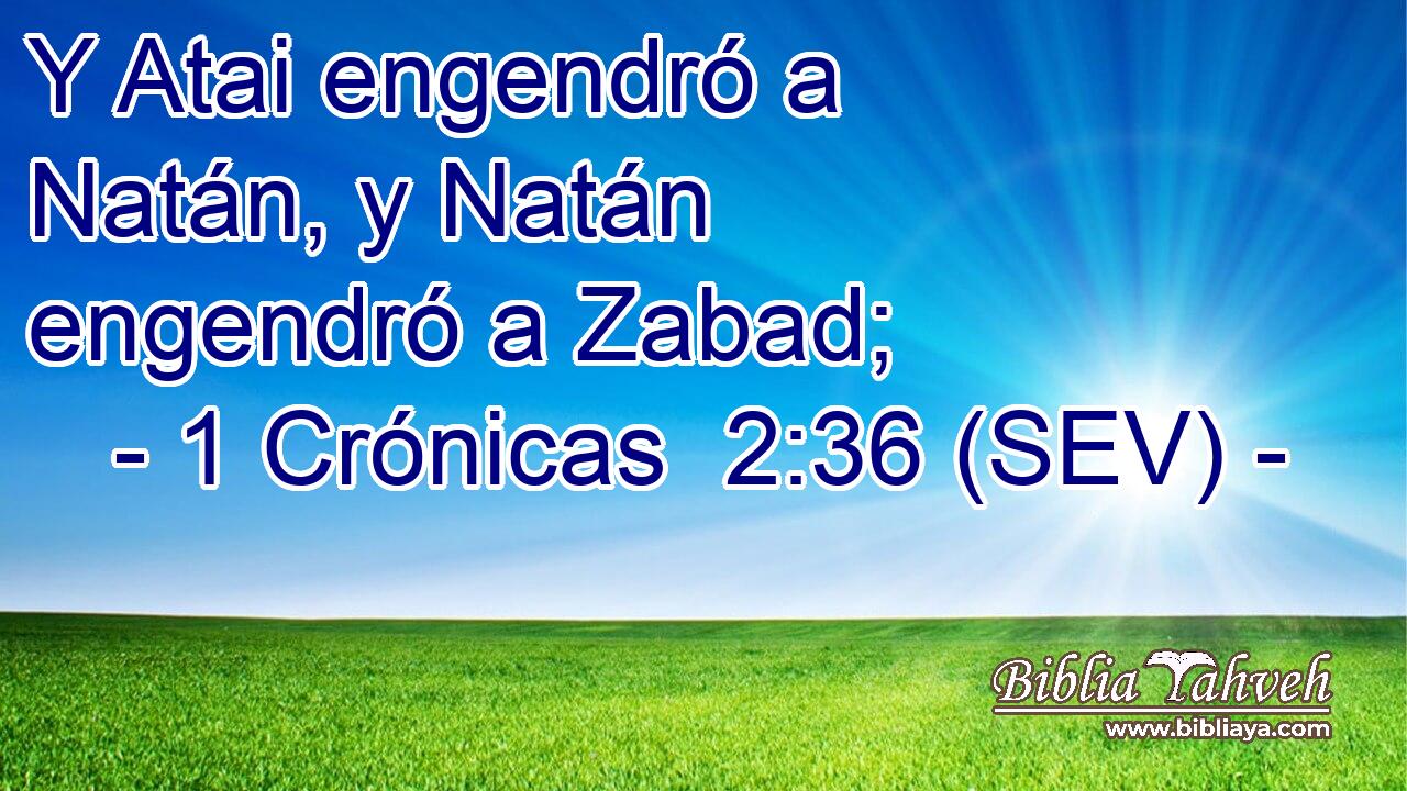 Y Atai engendró a Natán, y Natán engendró a Zabad;
