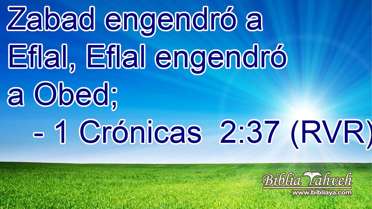 Zabad engendró a Eflal, Eflal engendró a Obed;