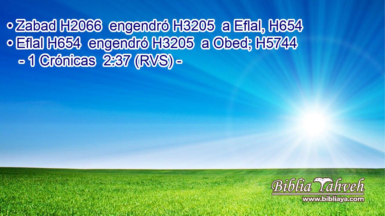 • Zabad H2066  engendró H3205  a Eflal, H654  • Eflal H654  engendró H3205  a Obed; H5744  