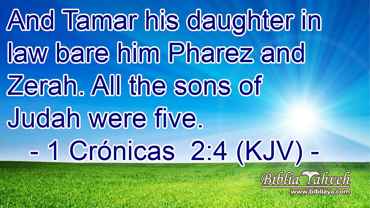 And Tamar his daughter in law bare him Pharez and Zerah. All the sons of Judah were five.